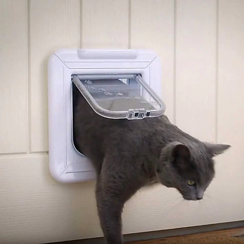 catmate-grey-cat catmate-grey-cat